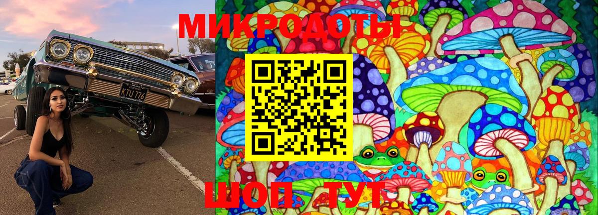 Галлюциногенные грибы прущие грибы Сызрань